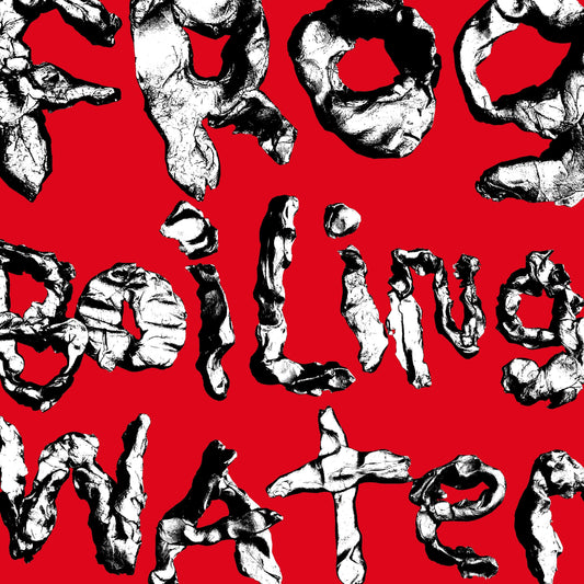 DIIV- Frog In Boiling Water (Black Vinyl)