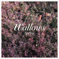 Wallows- Spring EP
