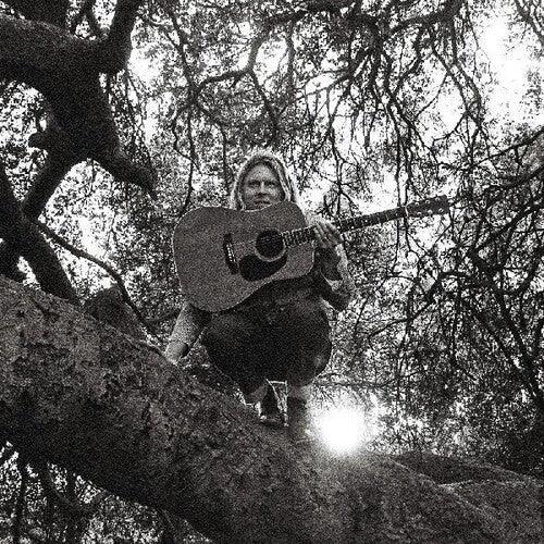 Ty Segall- Hello Hi