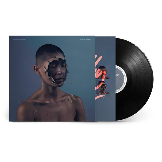 Manchester Orchestra- The Valley Of Vision