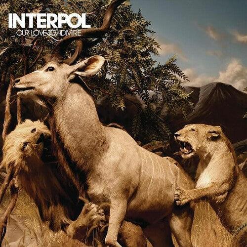 Interpol- Our Love To Admire