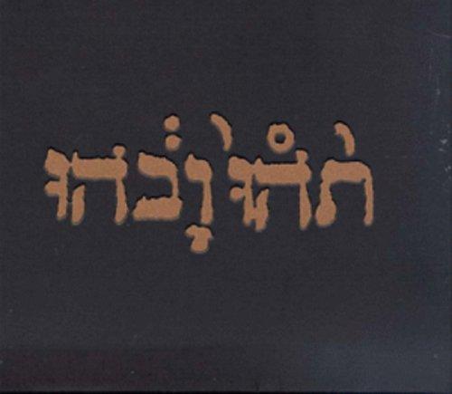 Godspeed You! Black Emperor- Slow Riot For New Zero Kanada E.P.