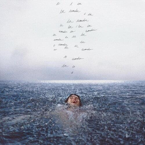 Shawn Mendes- Wonder