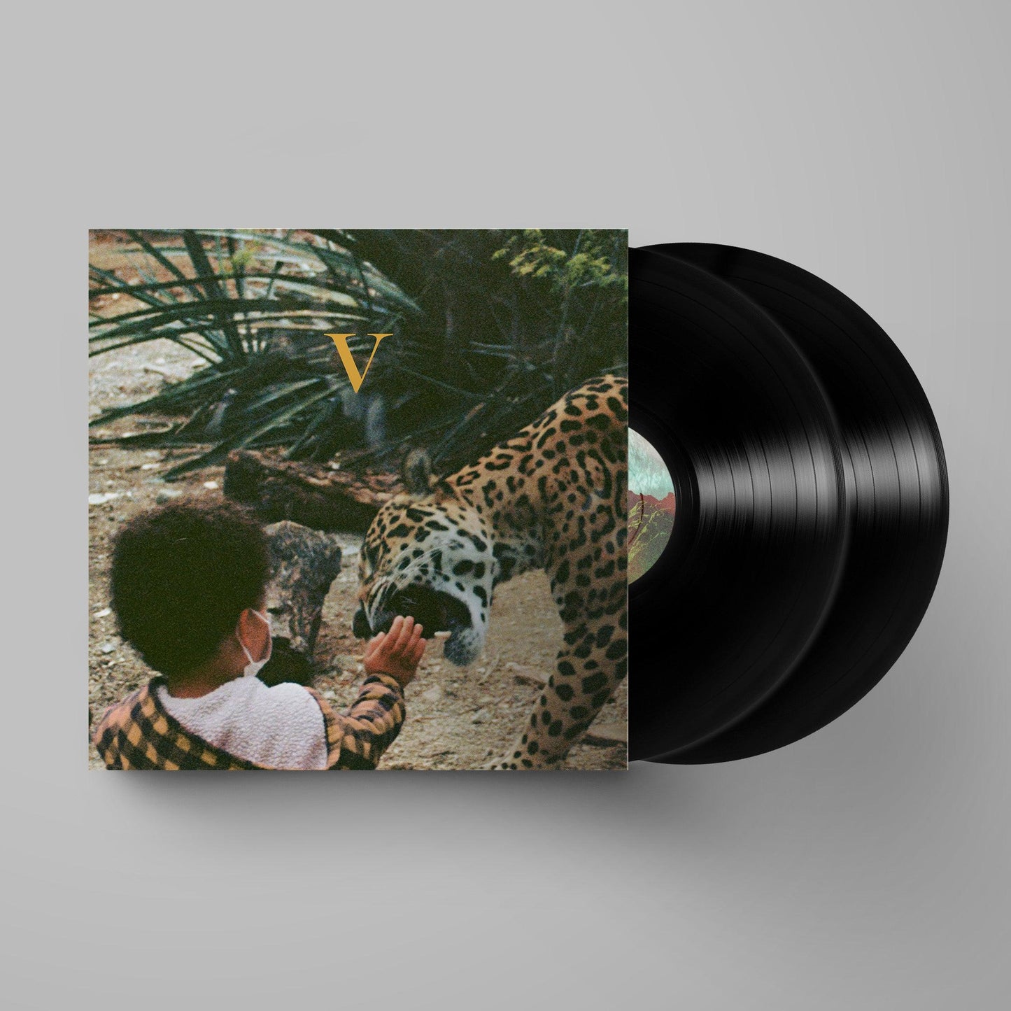 Unknown Mortal Orchestra- V