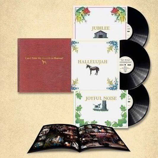 Tyler Childers- Can I Take My Hounds To Heaven?