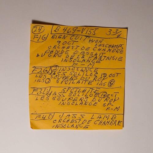 Mac DeMarco- Here Comes The Cowboy Demos