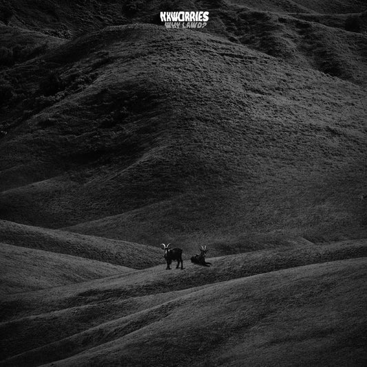 NxWorries- Why Lawd? (Indie Exclusive)