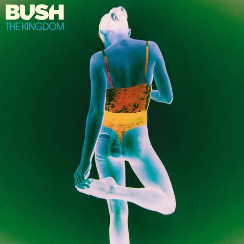 Bush- The Kingdom