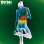 Bush- The Kingdom