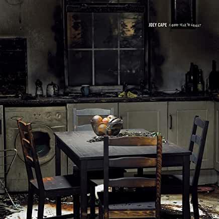 Joey Cape (Lagwagon)- A Good Year To Forget